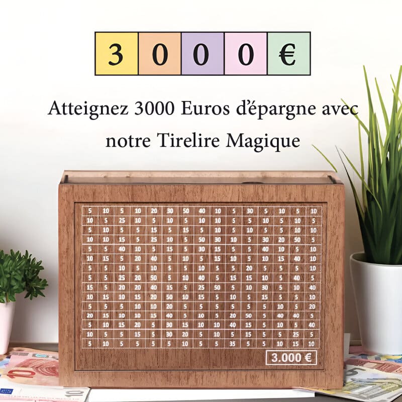 Tirelire 3000 Euros Japonaise
