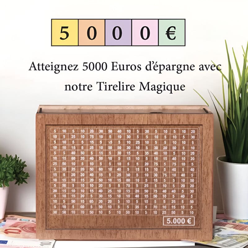 Tirelire Japonaise 5000 Euros