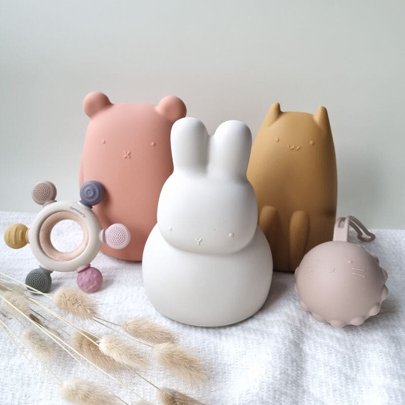 Tirelire Silicone
